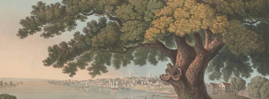 Cover for Native Trees of Early Philadelphia