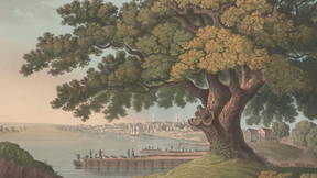 Thumbnail for Native Trees of Early Philadelphia