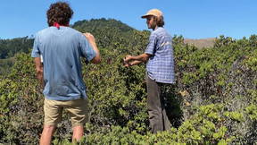 Thumbnail for Huckleberry Botanic Preserve