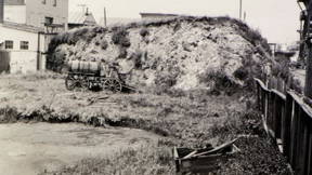 Thumbnail for Berkeley Shellmound to Shoreline