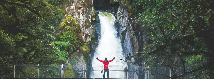 Cover for Milford Track Walk